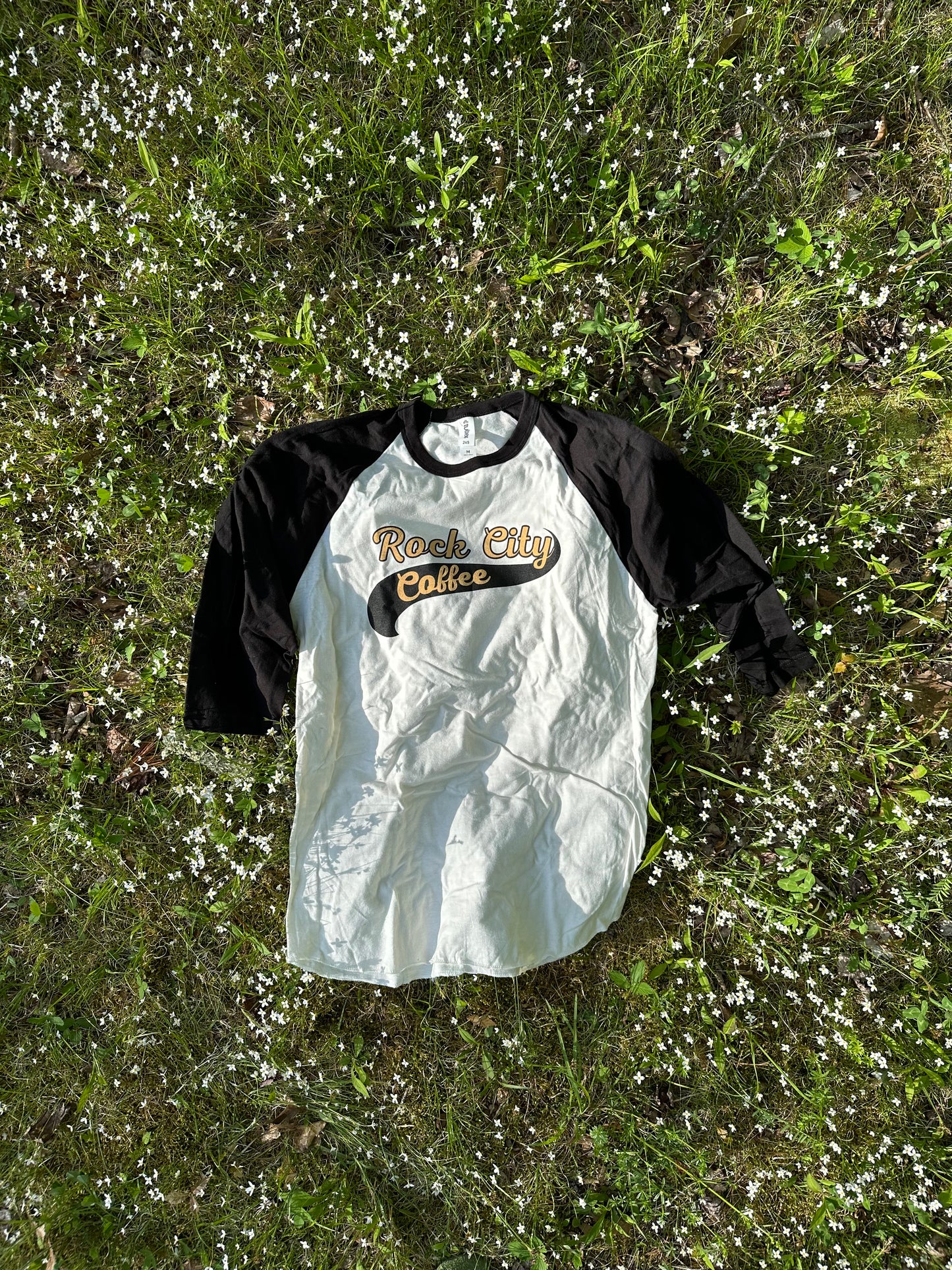 Retro Logo Baseball Tee