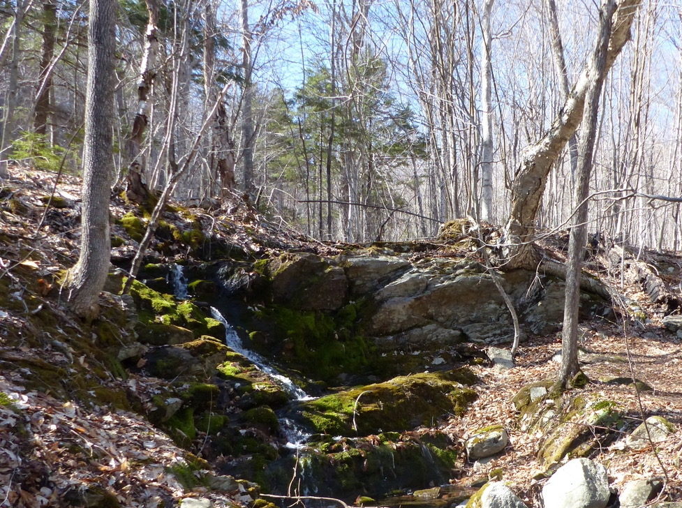 Organic Georges River Roast