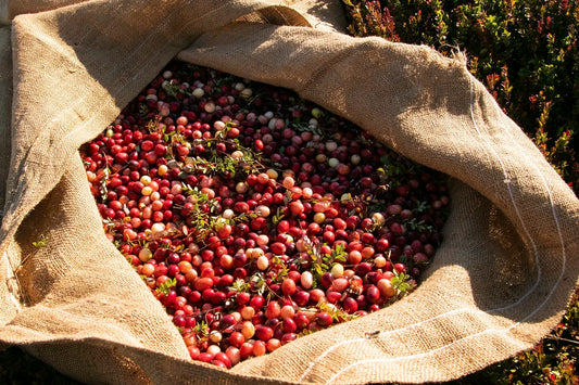 Organic Ethiopian Natural Sidamo