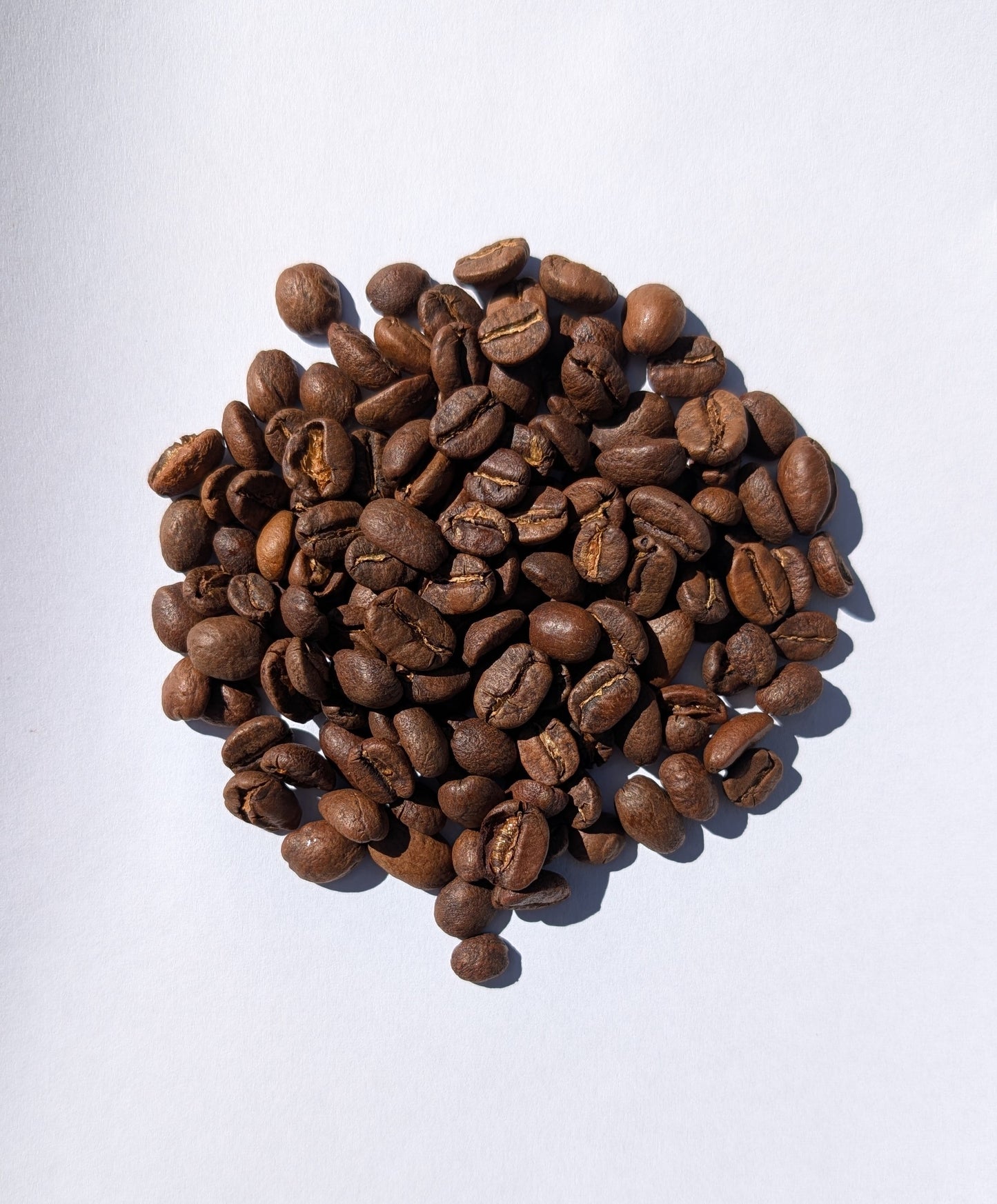 Organic Guatemalan San Marcos