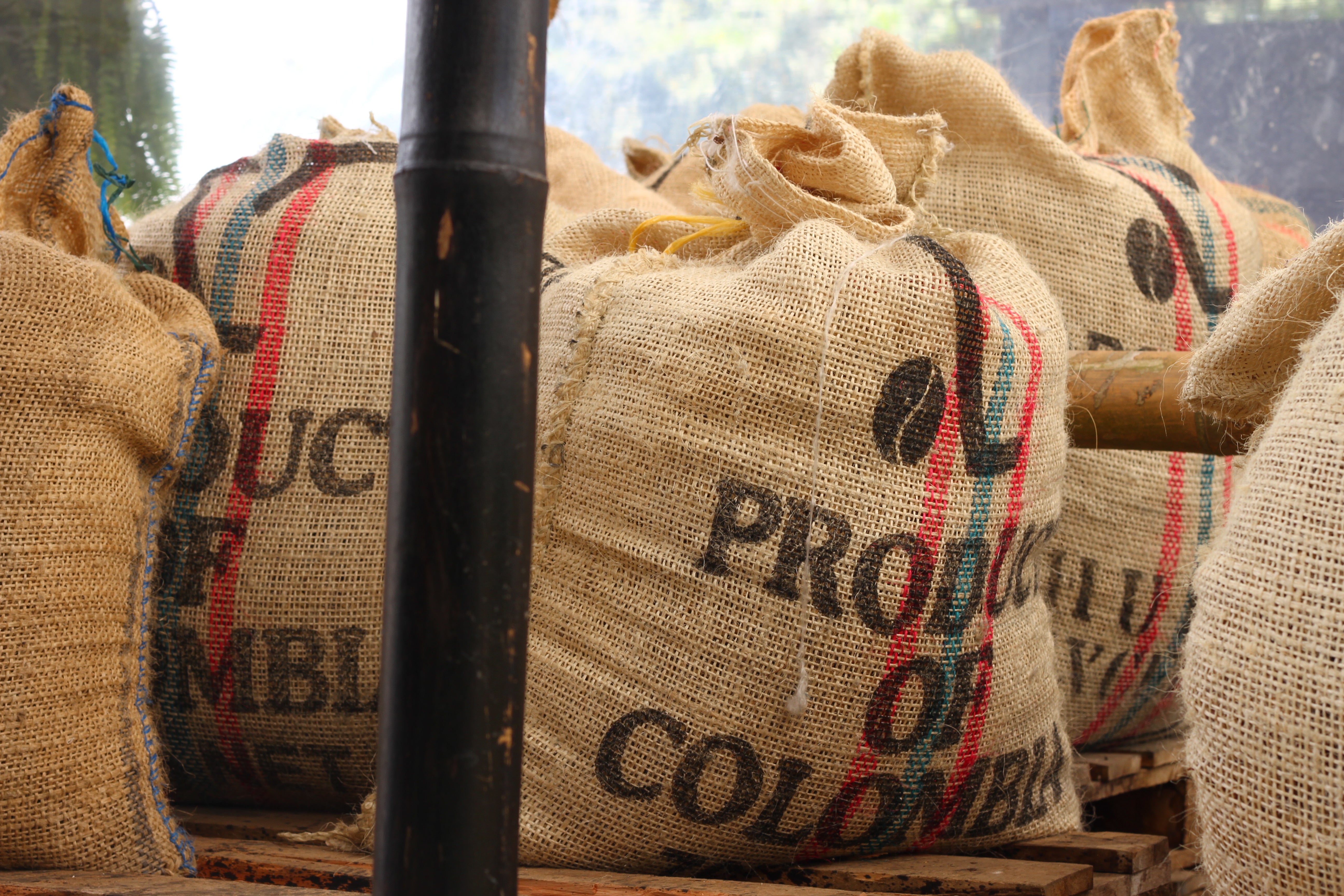 Photo of Colombian Decaf