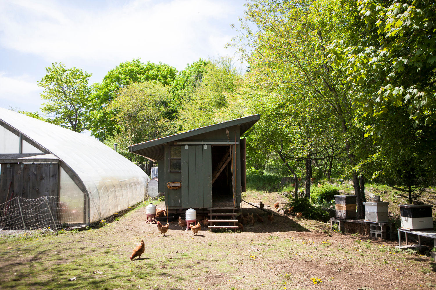 Photo of Barn Raiser