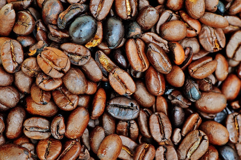 Photo of Organic One World Blend